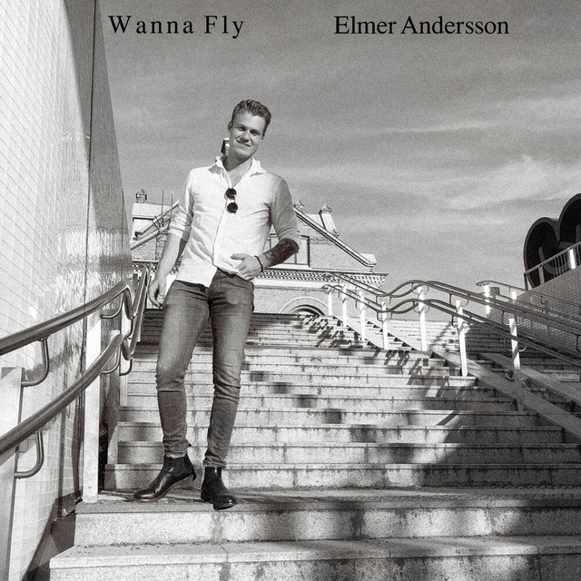 Elmer Andersson: “Wanna Fly”
