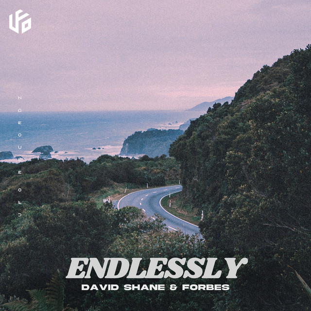 David Shane x Forbes: “Endlessly”