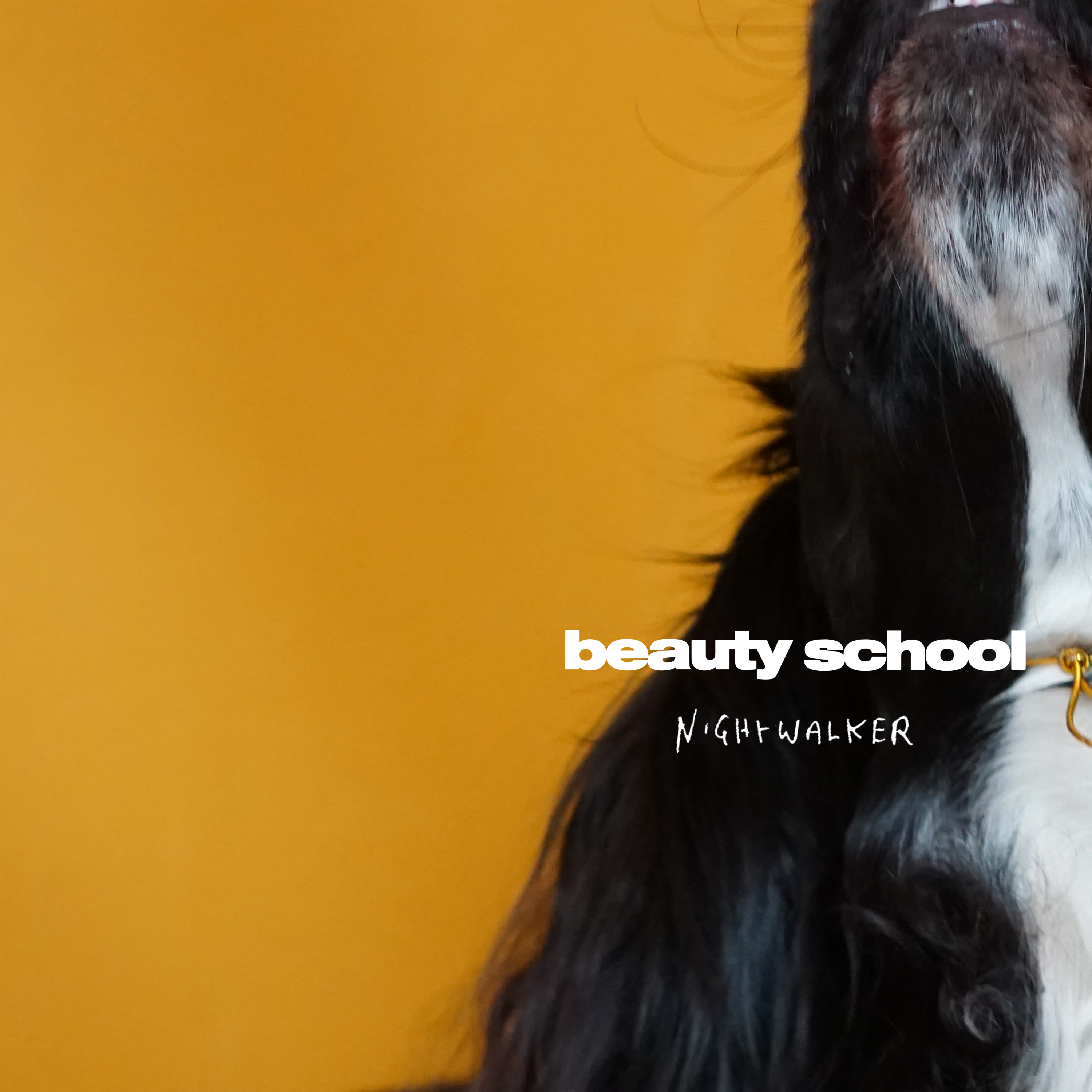 Beauty School: “Nightwalker”