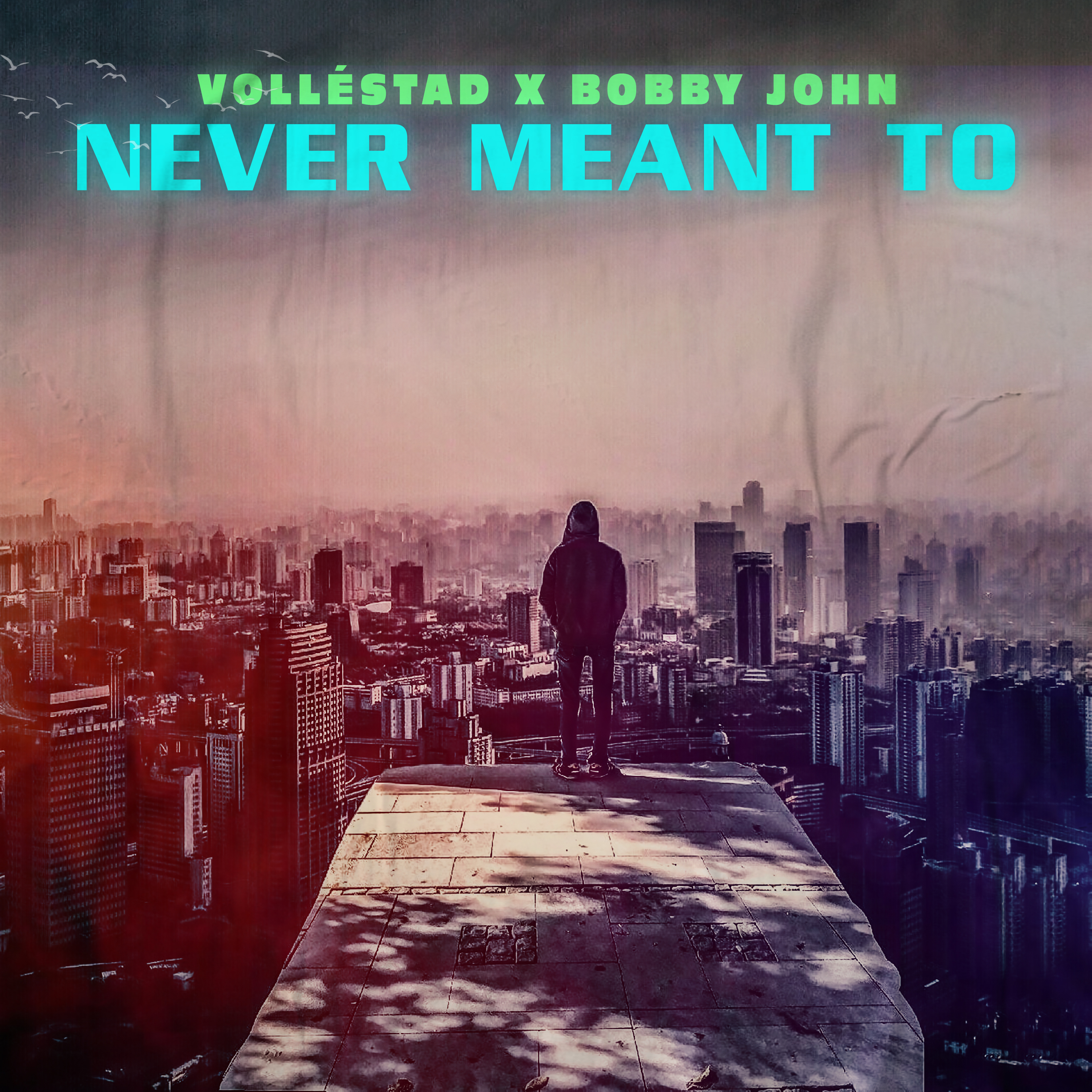 VOLLÉSTAD: “Never Meant To”