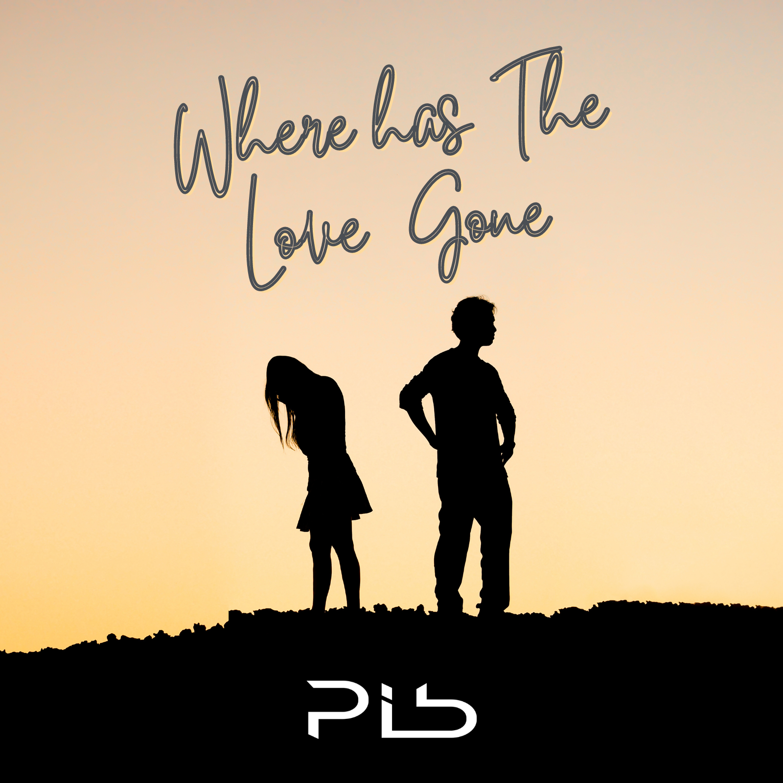 PIB: “Where Has the Love Gone”