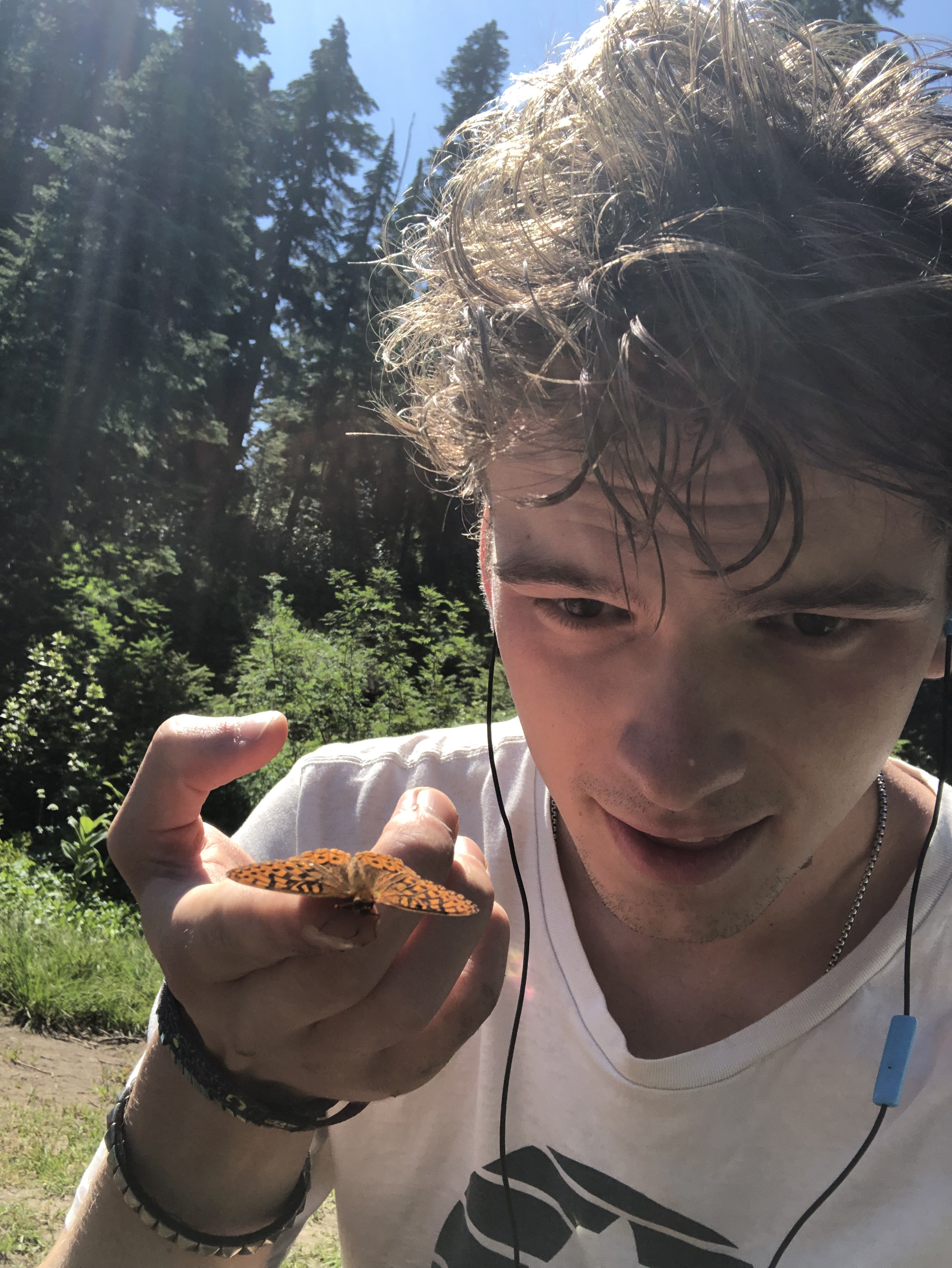 7KY: “PAPILLÓN”